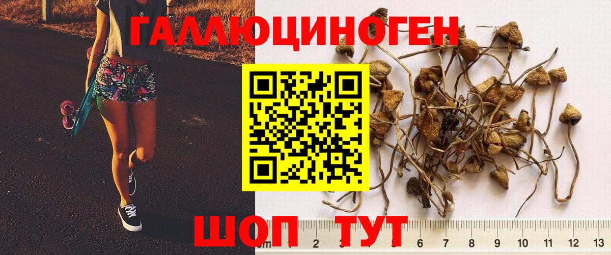 Галлюциногенные грибы GOLDEN TEACHER Миасс