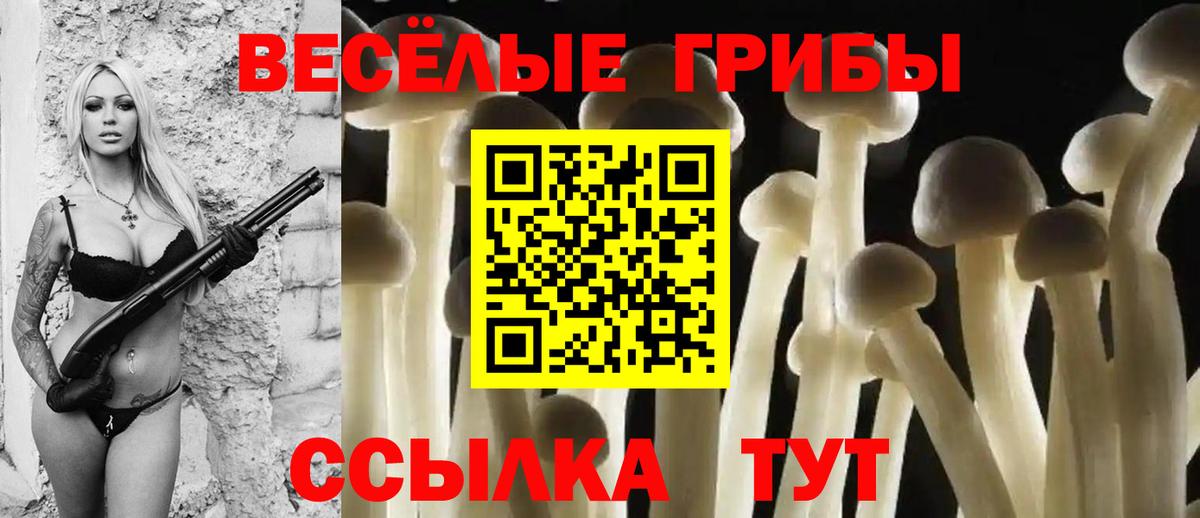 Псилоцибиновые грибы MAGIC MUSHROOMS  Вход с VPN  Миасс 